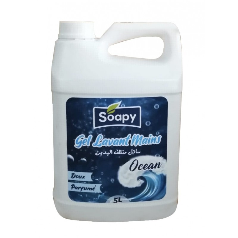 LAVE MAINS SOAPY OCEAN 5L